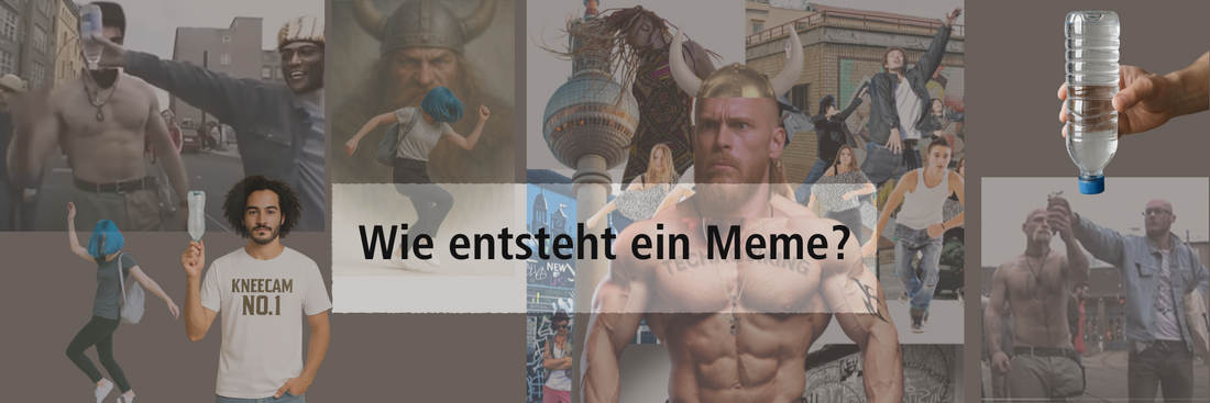 Vom Internetphänomen zum kulturellen Code