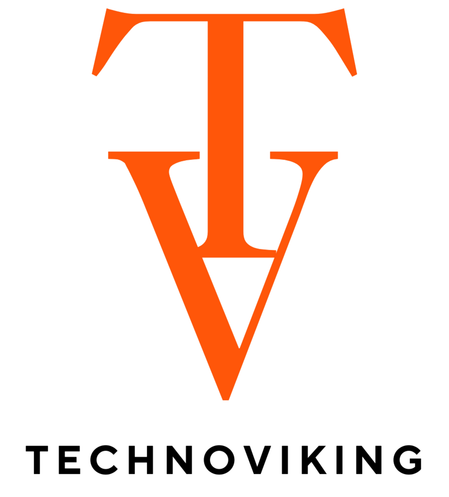 Technoviking